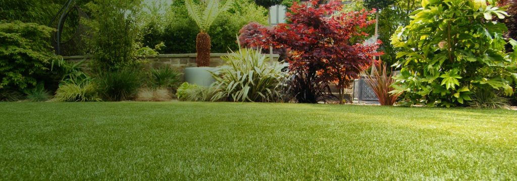 25mm Augusta Artificial Grass