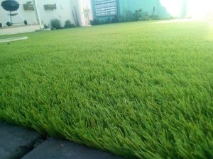 Artificial Home Grass