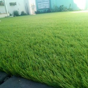 Artificial Home Grass