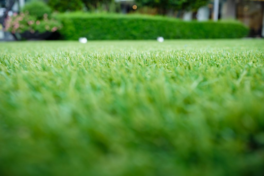 Artificial Grass