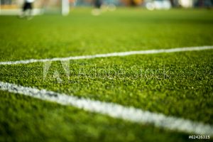 Soccer Duo Rye 15mm QuickTurf Multisport