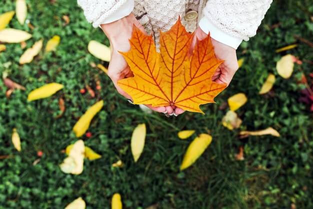 Autumn artificial grass